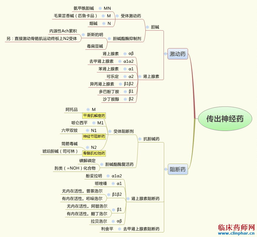 药理学思维导图(分享)