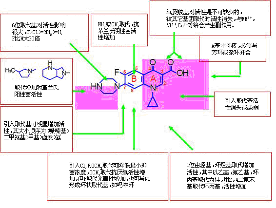 喹诺酮类抗菌药的构效关系及不同成酸盐的原因 1,a环是抗菌作用的