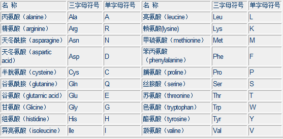 20种氨基酸的英文缩写